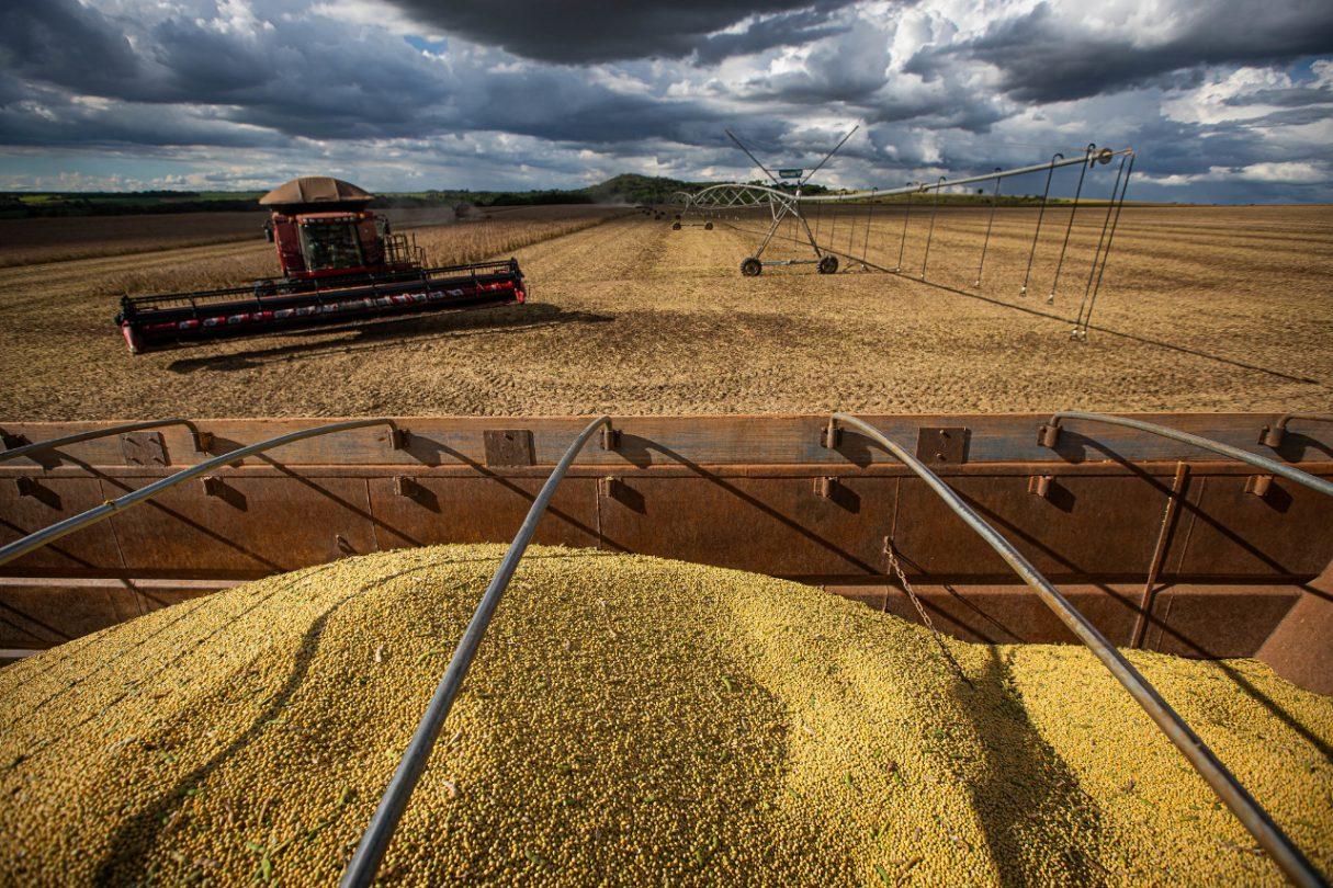 Capes concede 92 bolsas para fomentar o agronegócio goiano