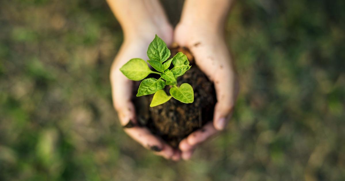 Economia Verde pode gerar acréscimo de R$ 2,8 trilhões ao PIB brasileiro até 2030 e gerar novos 2 milhões de empregos