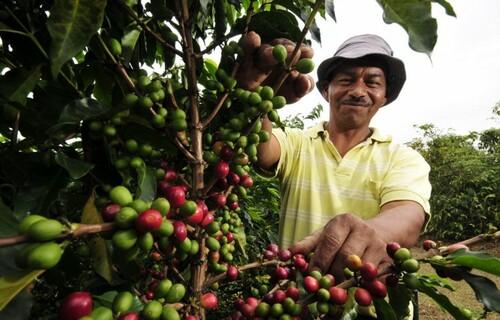 INDICADORES: café fica mais caro nesta sexta-feira (4)
