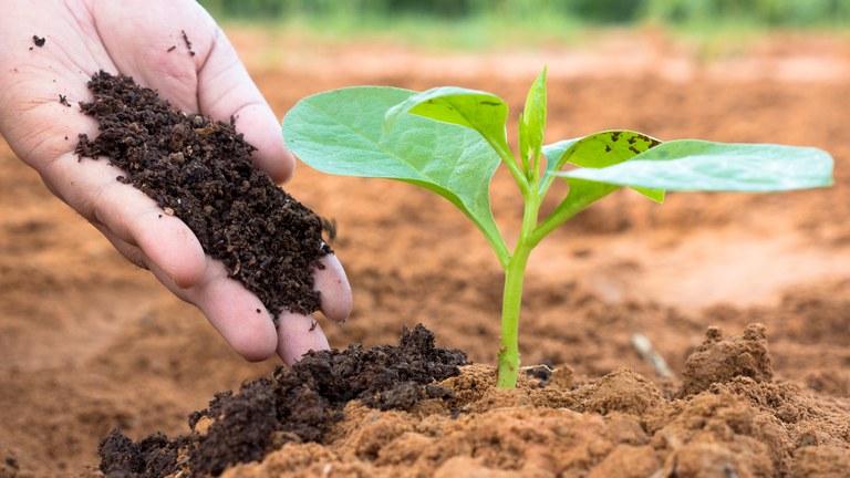 FERTILIZANTES: Brasil tem planos para possível falta do insumo, diz ministra
