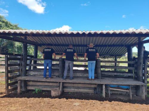 Operação Escambo prende suspeito de furto de gado; autor também arrendou pasto sem autorização da vítima