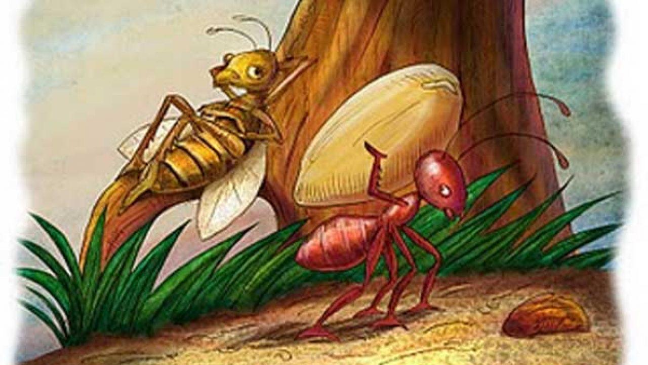 A CIGARRA E A FORMIGA