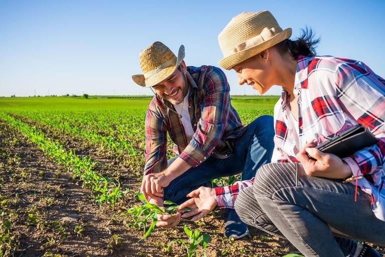 Grão Direto e Federação UNICAFES se unem para promover a comercialização digital de grãos e potencializar agricultura familiar de Goiás