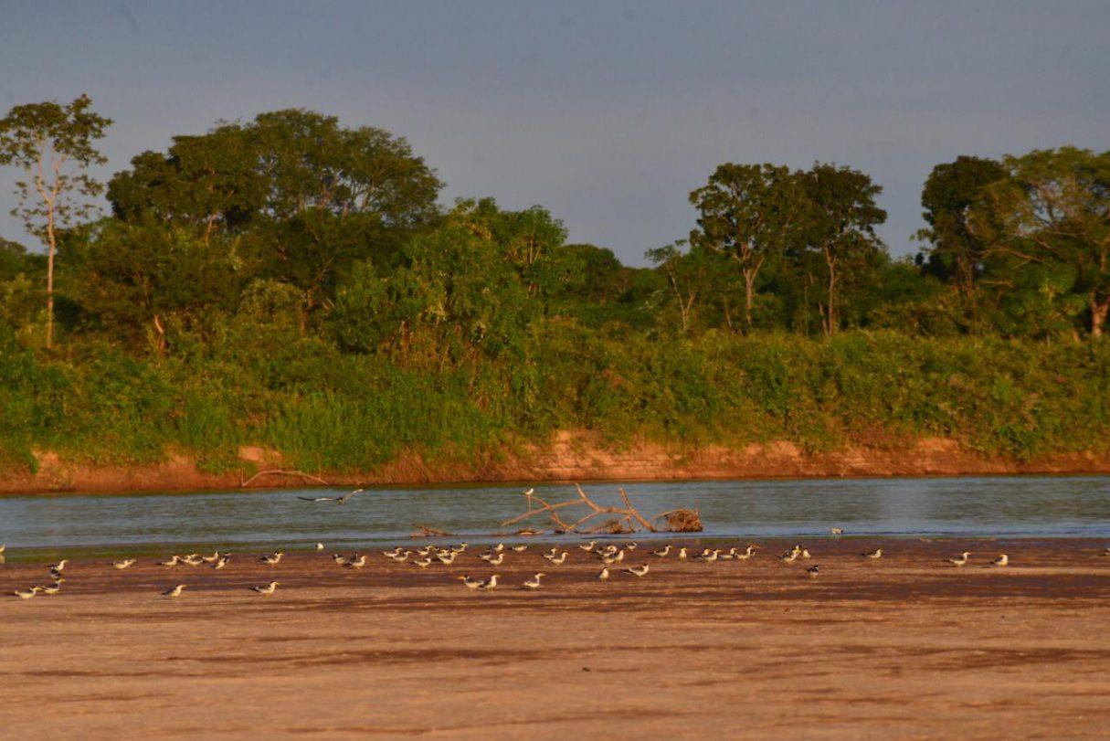 Temporada do Araguaia deve receber 1 milhão de turistas