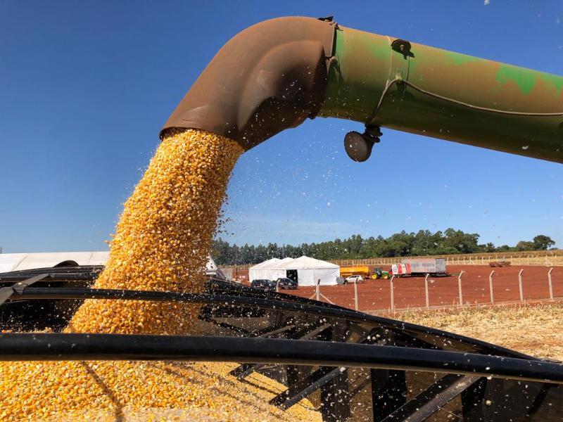Seapa faz avaliação positiva do novo Plano Safra