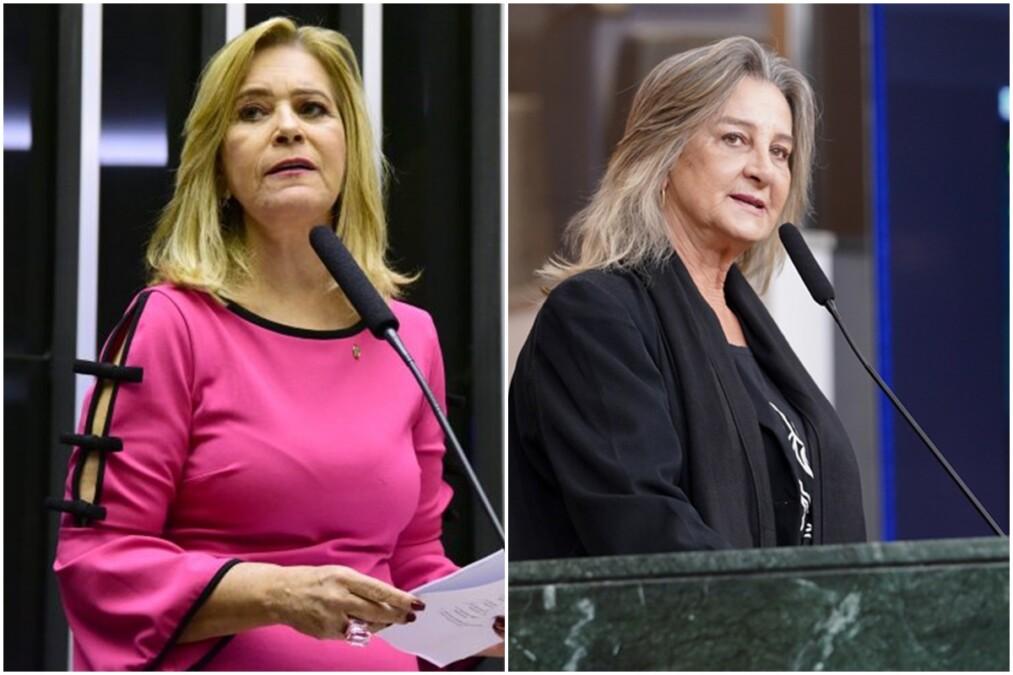 Goiás Pesquisas/Mais Goiás: Lêda Borges tem 34,13% em estimulada de Valparaíso contra 22,46% de Dra. Zeli