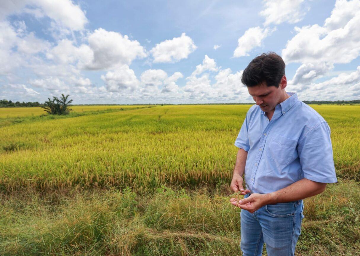 Daniel Vilela articula expansão de arroz irrigado no Vale do Araguaia