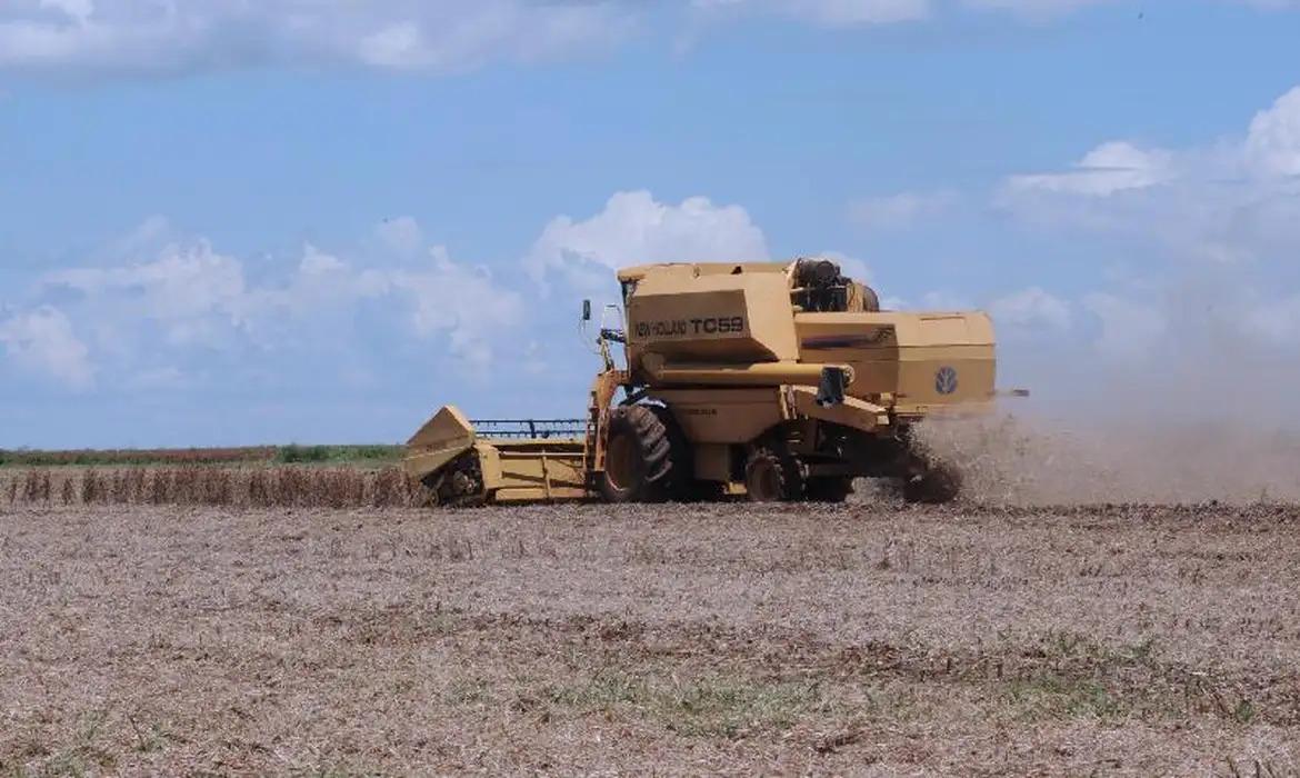 Entre os municípios que se destacaram nas atividades agronegócio estão vários da região Sul