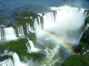 Reabertura de trilhas e ações de sensibilização ambiental no Parque Nacional do Iguaçu marcam Semana do Meio Ambiente