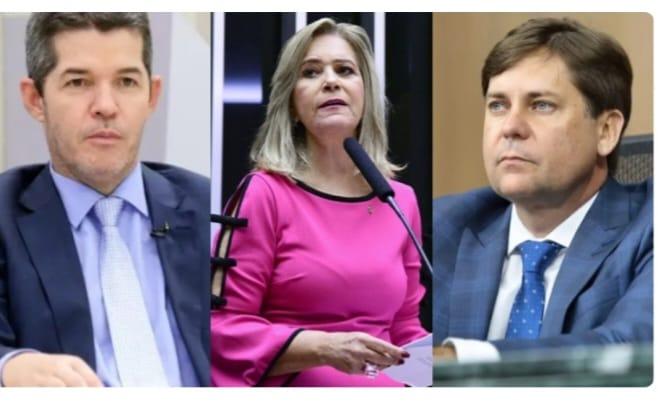 Políticos goianos já se articulam para disputar cargos em Brasília nas eleições de 2026