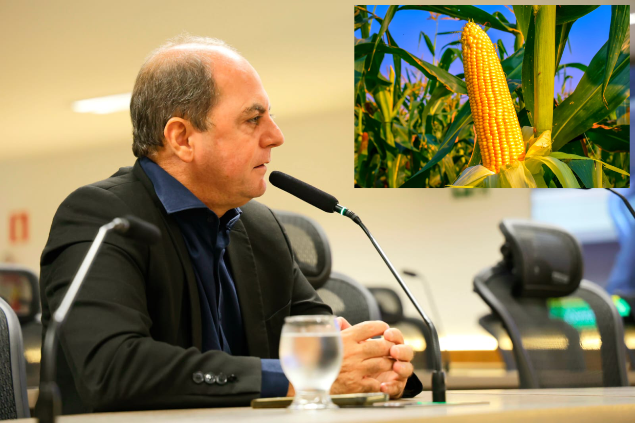 Governo sanciona projeto de Gugu Nader que institui o Dia Estadual do Milho