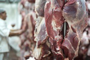 Brasil mira novos mercados para ampliar exportações de carne bovina; especialista avalia impacto das tarifas impostas pelos EUA ao setor