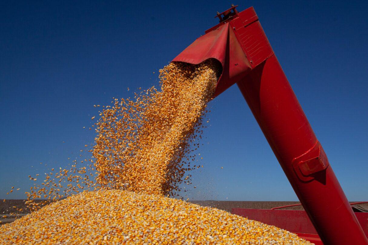 Produção de grãos em Goiás tem alta de 18,95%
