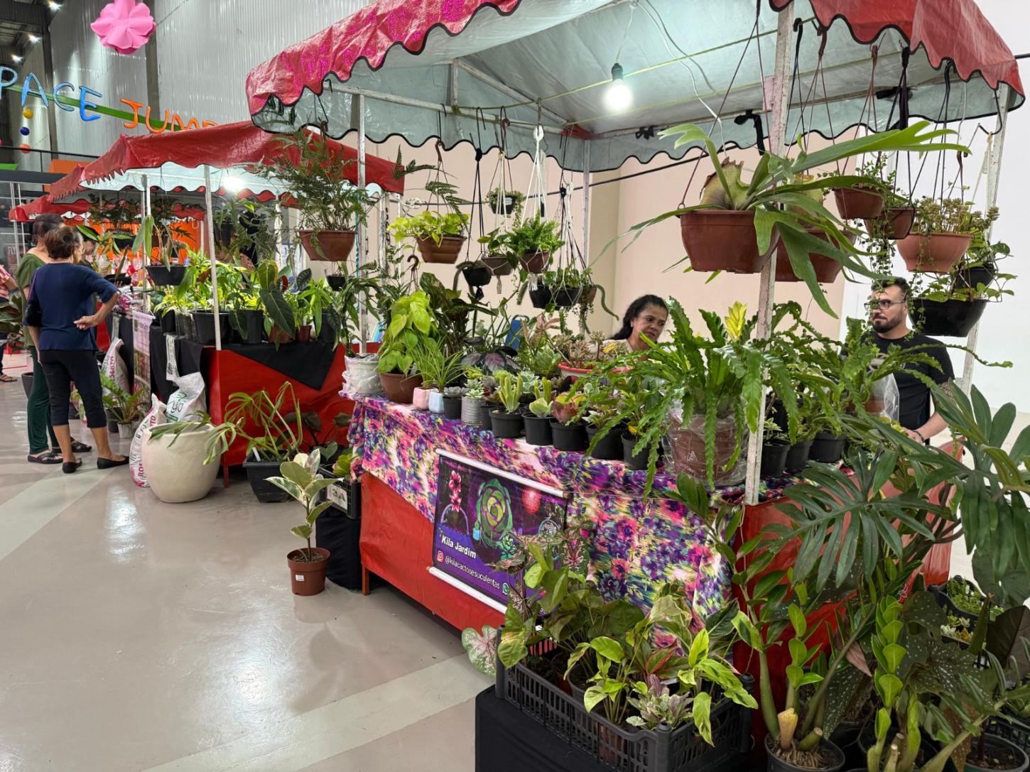 Hobby de férias: que tal montar o seu jardim? Jardinagem cresce entre os brasileiros e diminui o estresse e a ansiedade
