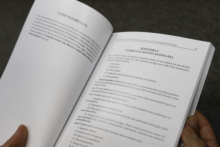 Número de falantes de línguas indígenas aumenta quase 50% em 12 anos