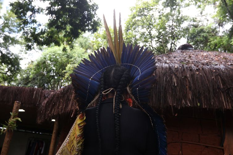 PF investiga ataques armados contra povo pataxó do sul da Bahia