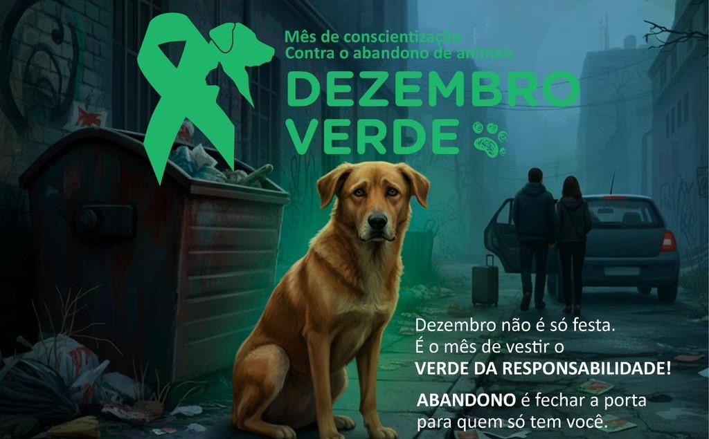 Dezembro Verde 2025 – mês de combate ao abandono de animais