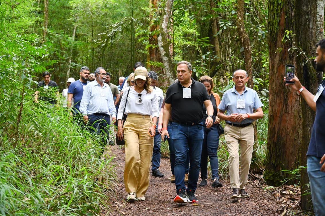 Goiânia pode ganhar Parque Zoobotânico aos moldes de Instituto Inhotim, de Minas Gerais