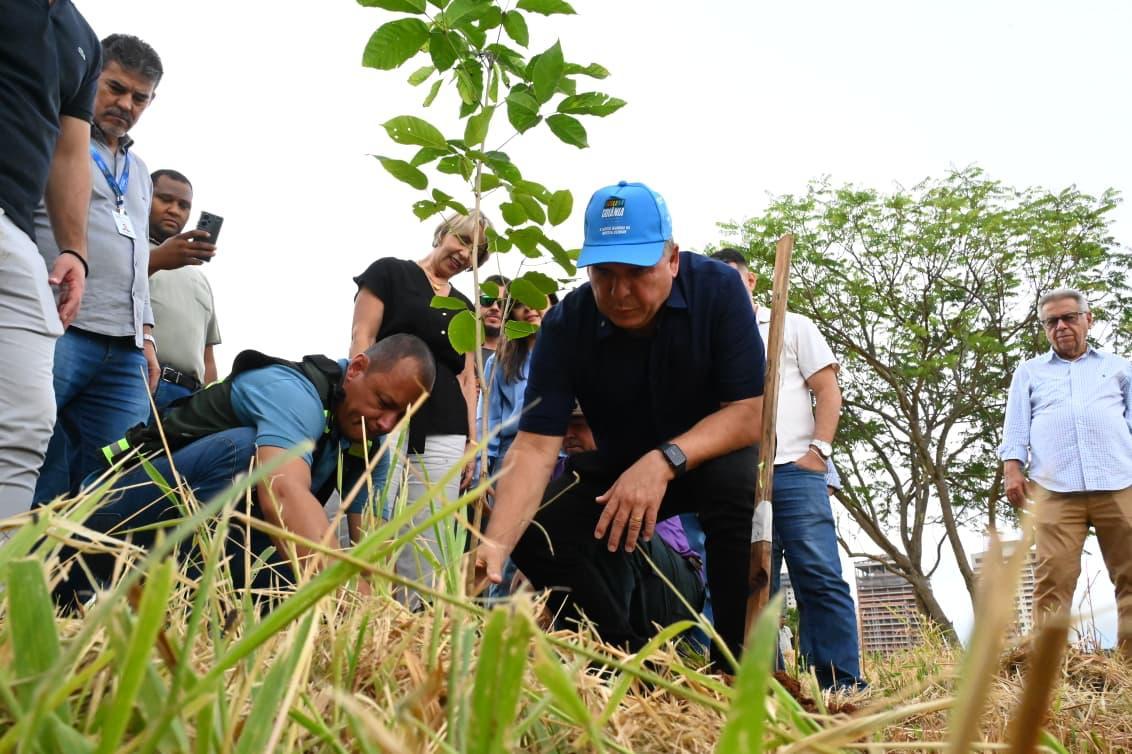 MotoGP Goiânia: prefeitura adota plantio de árvores para compensar emissões de carbono da competição