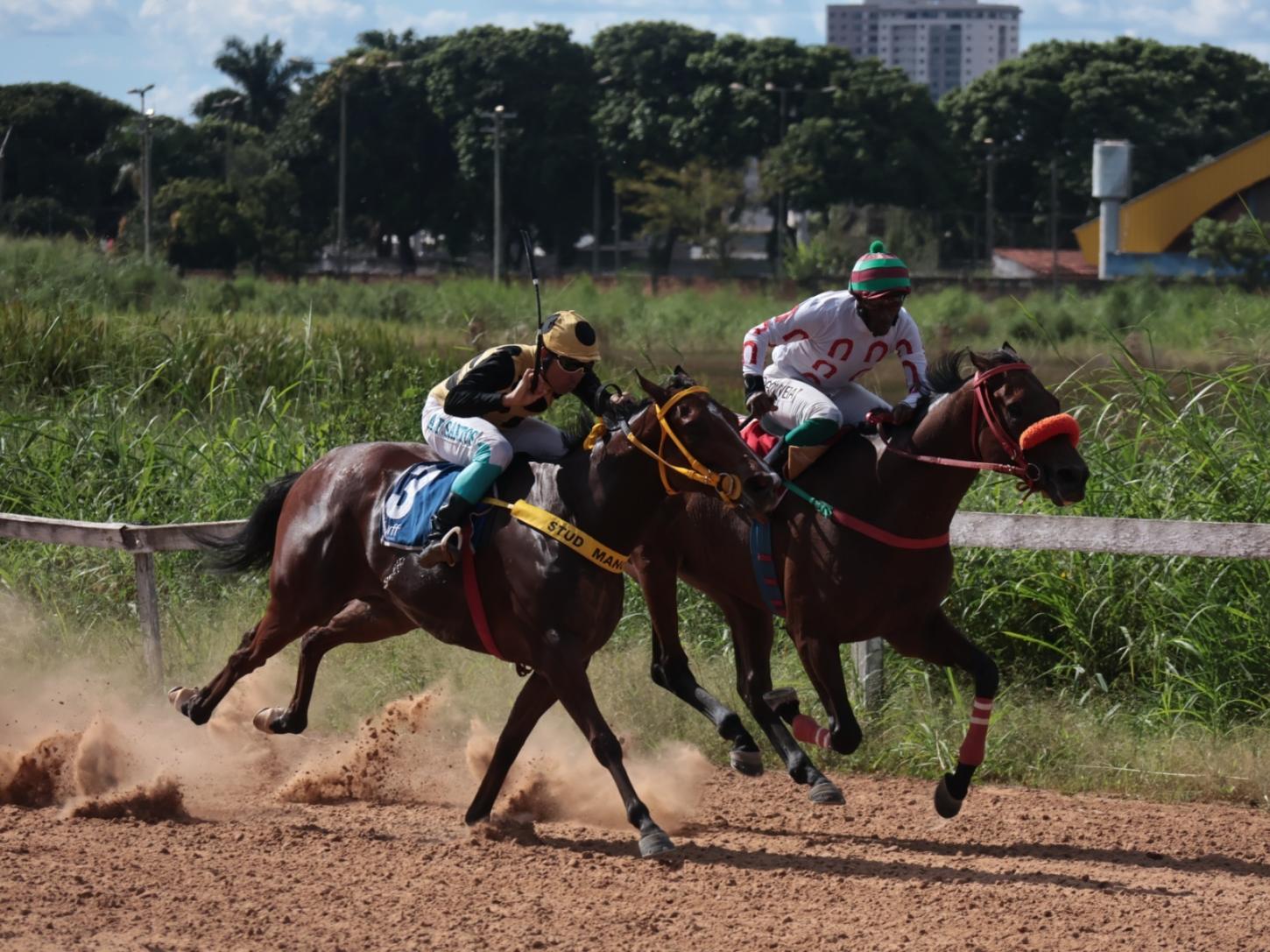 Jóquei Clube promove mais uma edição de corrida de cavalos no Hipódromo da Lagoinha, neste sábado