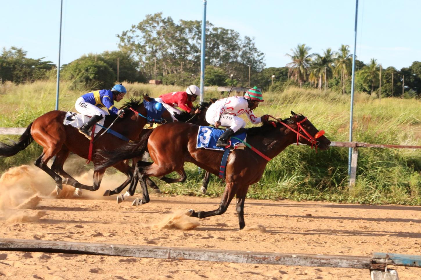 Jóquei Clube recupera carta-patente e volta a realizar corridas em agosto
