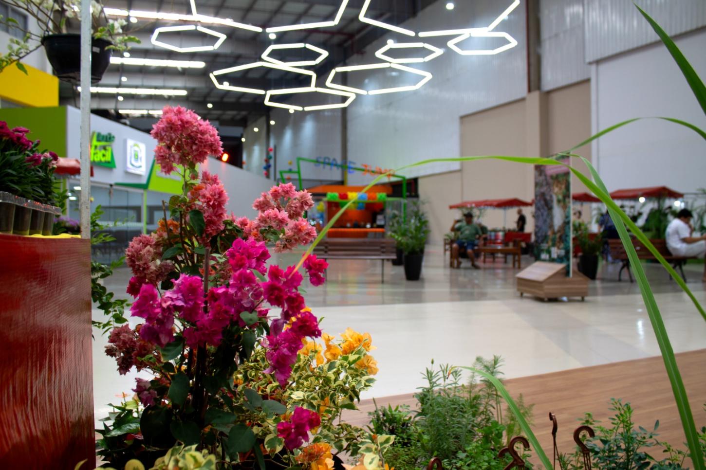 Feira de plantas que nasceu no Shopping Estação Goiânia chega à 30ª edição com opções a partir de R$ 2,50