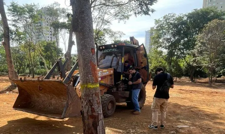 39 árvores quase centenárias ganham novo endereço em Anápolis