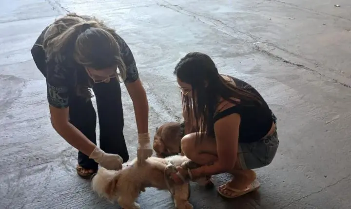 Aragarças registra 2.820 animais vacinados contra a raiva