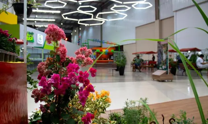 Feira de plantas que nasceu no Shopping Estação Goiânia chega à 30ª edição com opções a partir de R$ 2,50