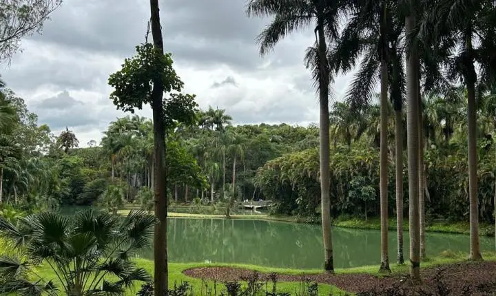 Goiânia pode ganhar Parque Zoobotânico aos moldes de Instituto Inhotim, de Minas Gerais