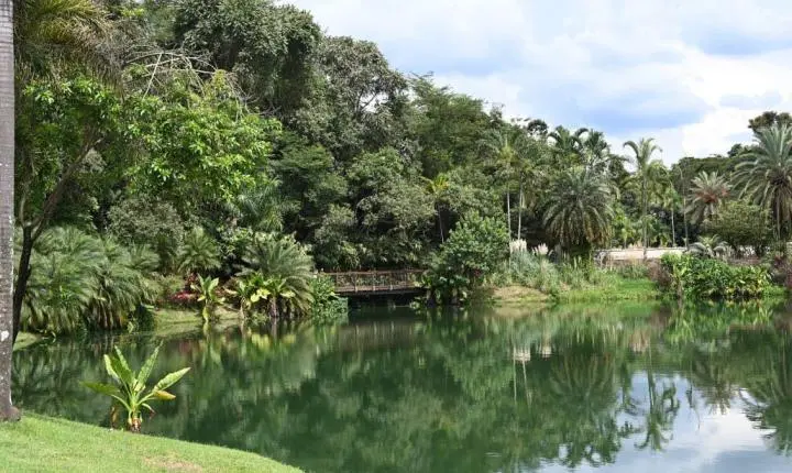 Goiânia pode ganhar Parque Zoobotânico aos moldes de Instituto Inhotim, de Minas Gerais