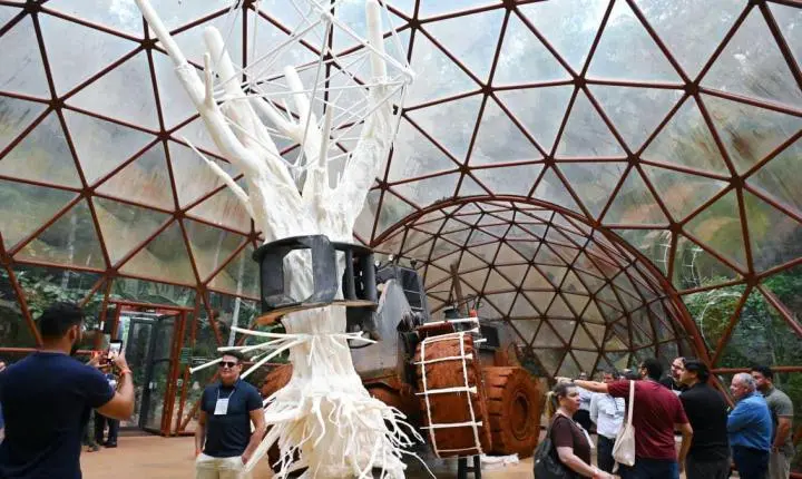 Goiânia pode ganhar Parque Zoobotânico aos moldes de Instituto Inhotim, de Minas Gerais