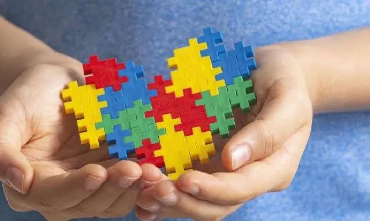 Goiânia recebe encontro sobre autismo