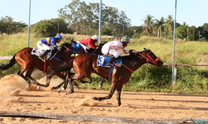Jóquei Clube recupera carta-patente e volta a realizar corridas em agosto