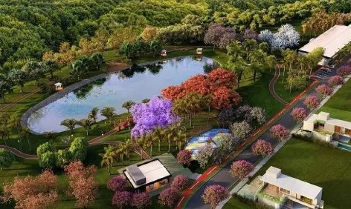 Reserva Sunflower será o primeiro condomínio horizontal que reúne natureza, sofisticação e tecnologia, em Anápolis