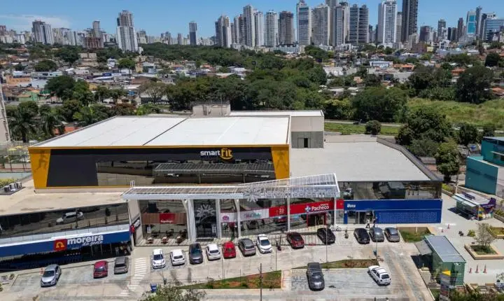 Vai sair com seu pet? Conheça 5 lugares em Goiânia que recebem animais